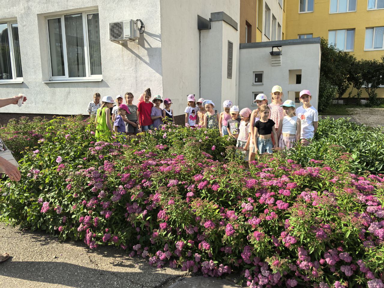 7 день - День эколога.